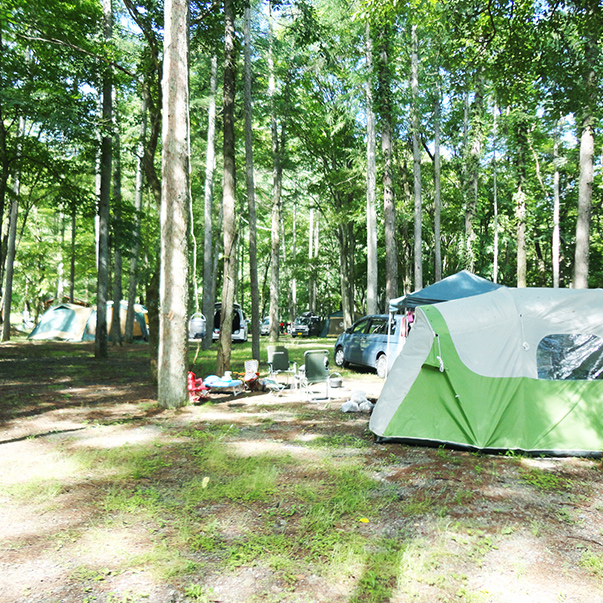 キャンプ（まほーばの森＆川和自然公園）