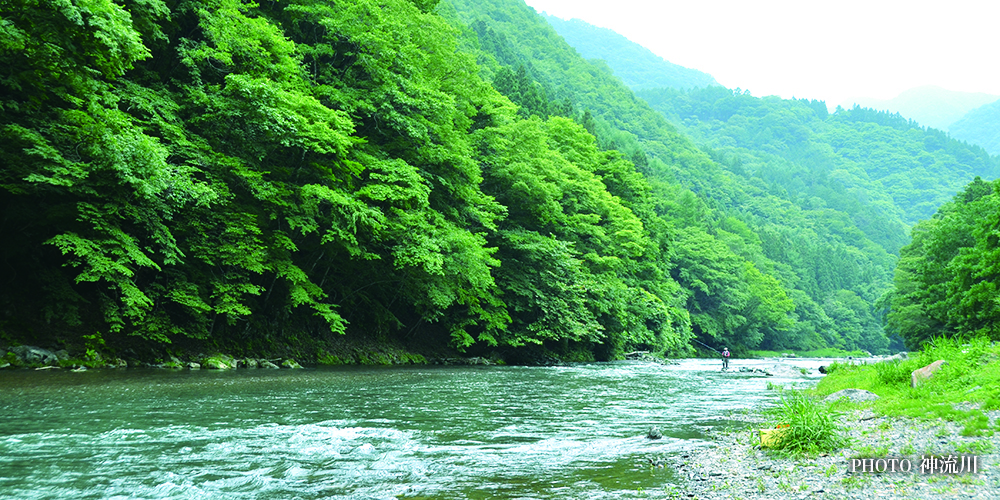 【公式】旅する上野村